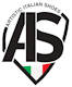 Artistic Italian Shoes Logo